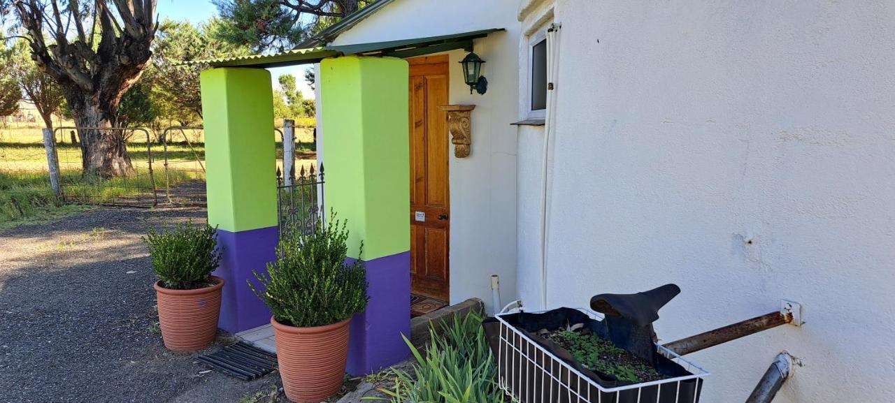 Purple House B&B Smithfield Extérieur photo
